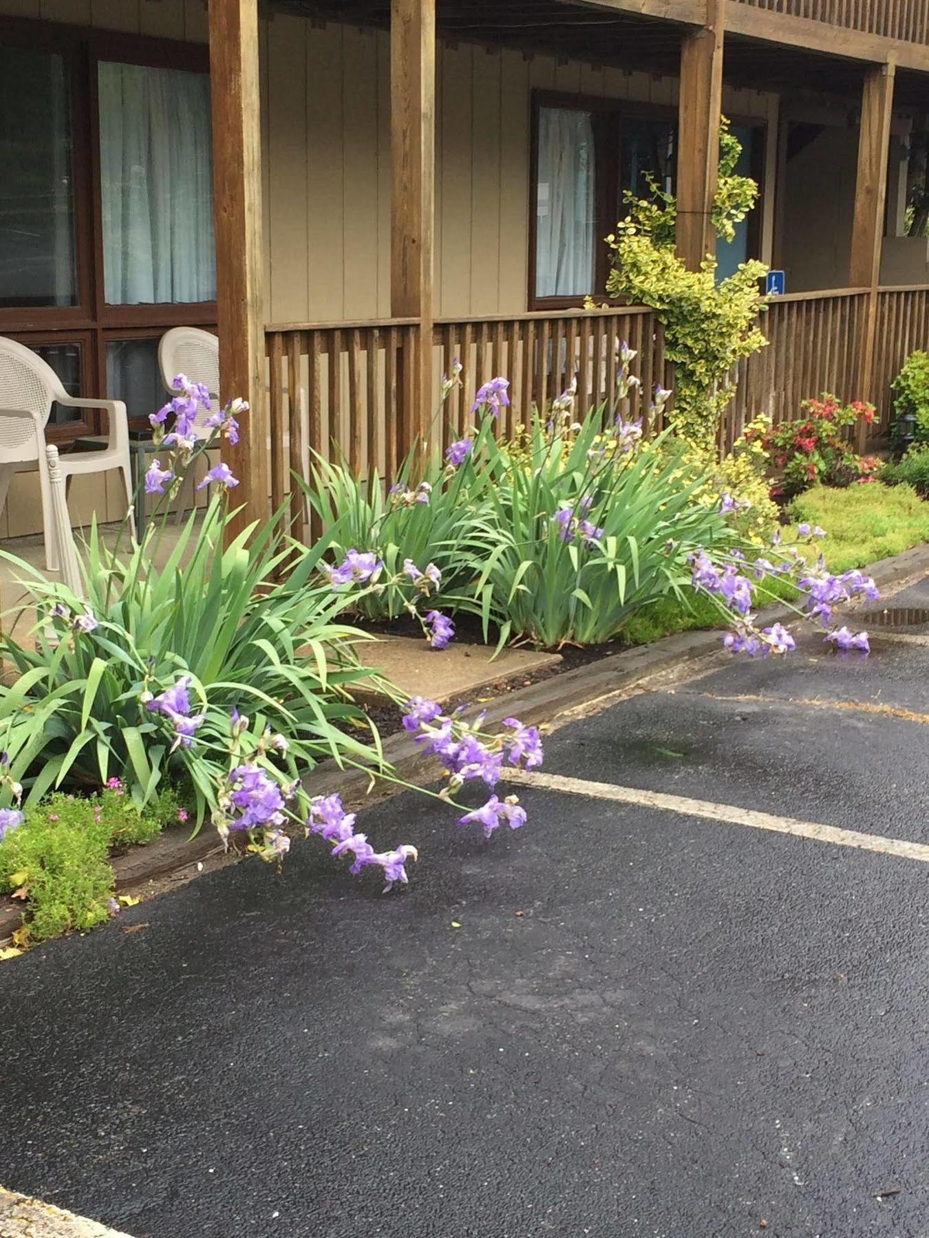 Endless Coast, A Boutique Hotel Wellfleet Exterior photo